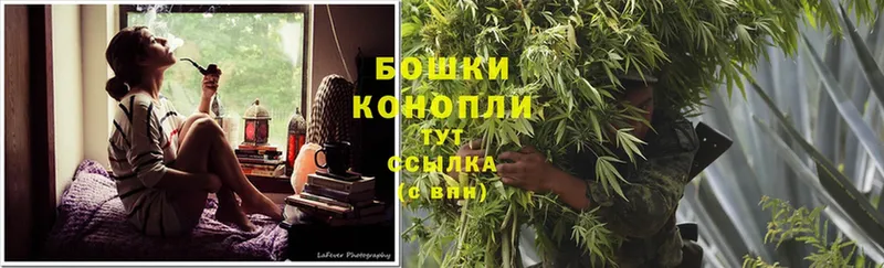 купить   Глазов  Бошки марихуана THC 21% 